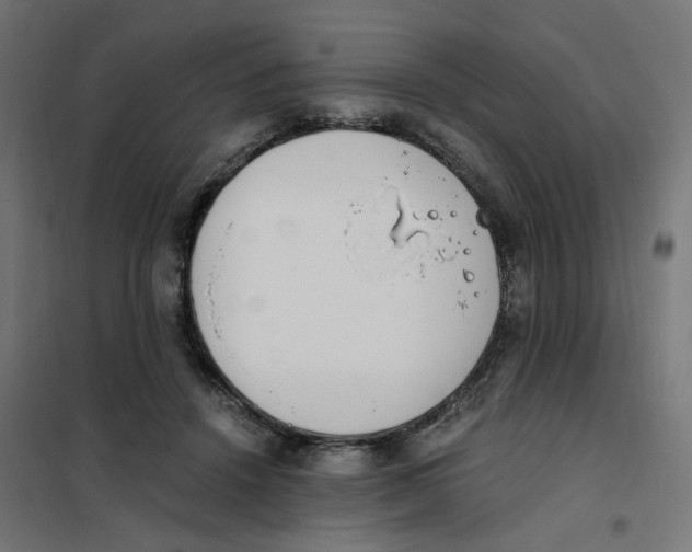 X0000101680456200808071113
