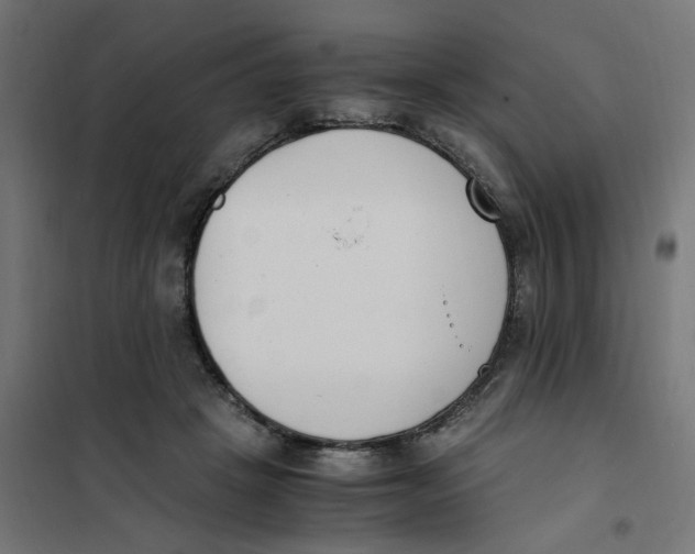 X0000101680457200808071113
