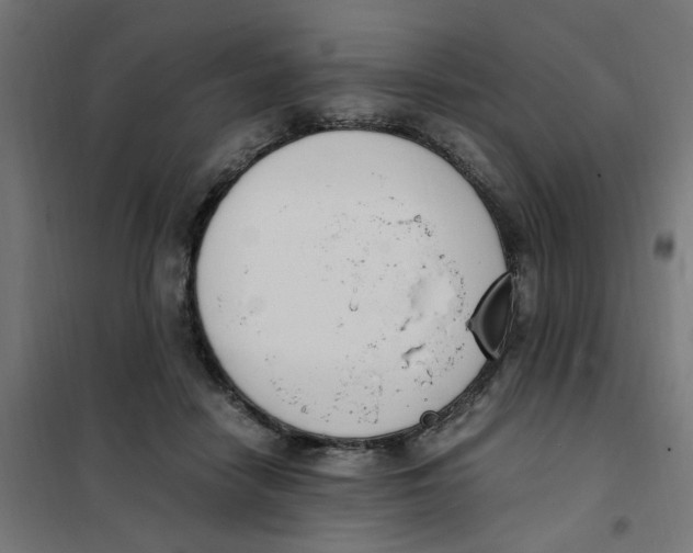 X0000101680458200808071113