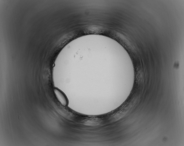 X0000101680459200808071113