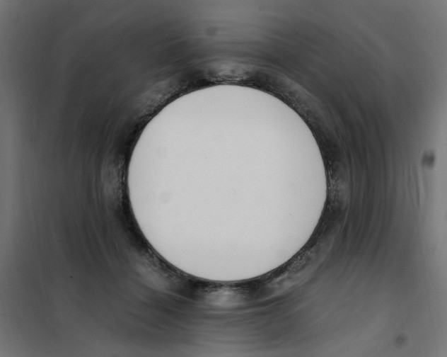 X0000101680460200808071113