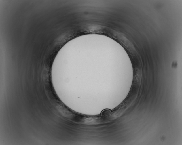 X0000101680461200808071113