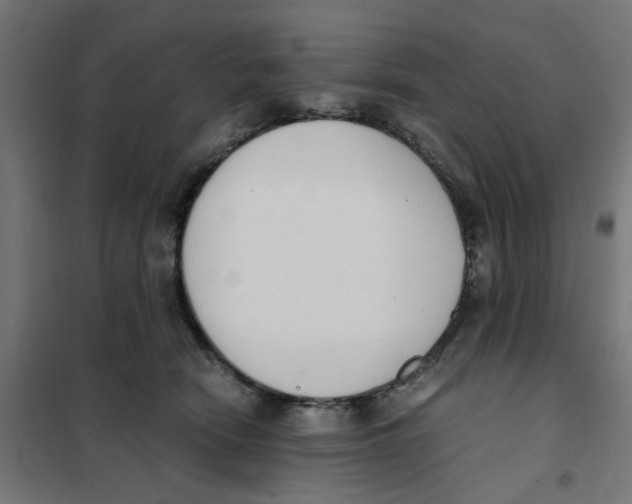 X0000101680466200808071113