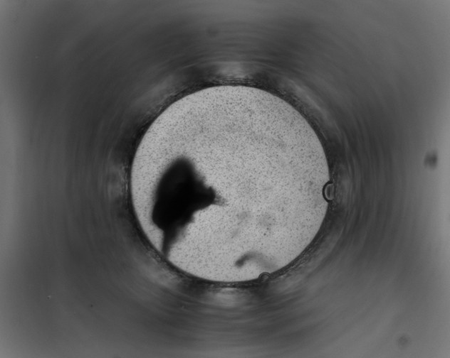 X0000101680467200808071113