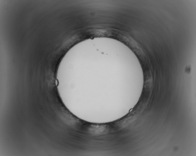 X0000101680469200808071113