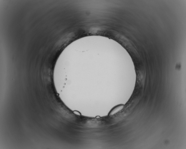 X0000101680470200808071113