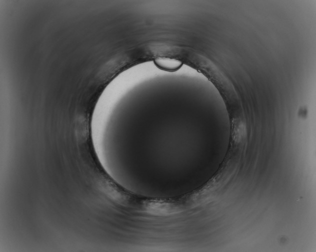 X0000101680471200808071113