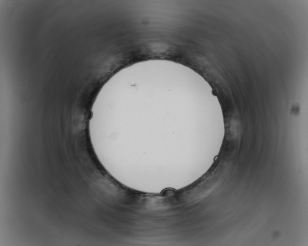X0000101680472200808071113