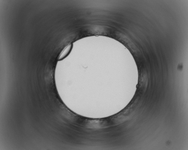 X0000101680473200808071113