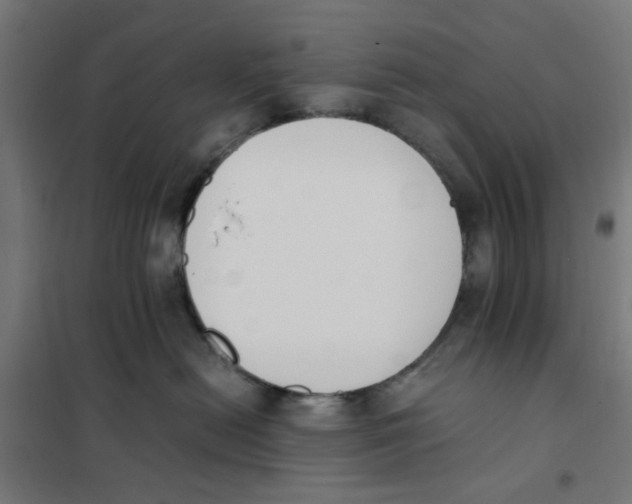X0000101680478200808071113