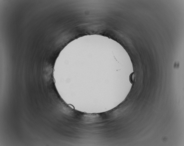 X0000101680480200808071113