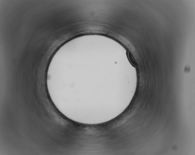 X0000101680481200808071113