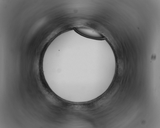X0000101680482200808071113