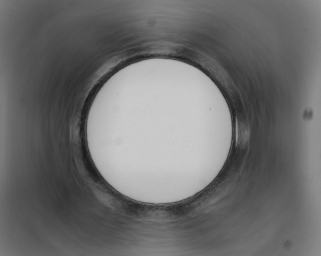 X0000101680483200808071113