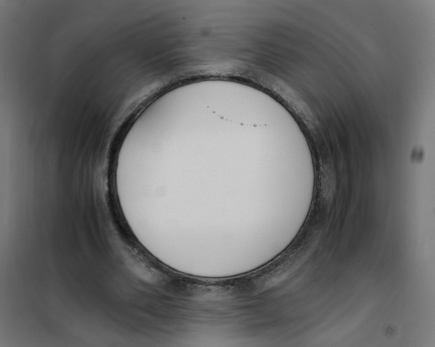 X0000101680486200808071113