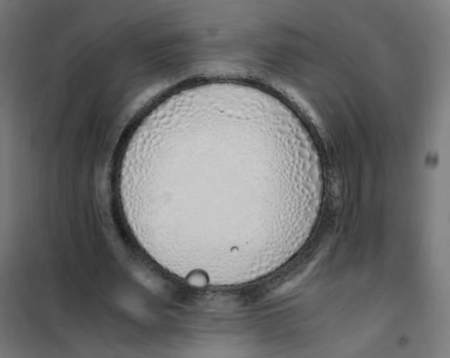 X0000101680487200808071113