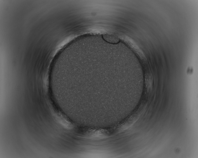 X0000101680488200808071113
