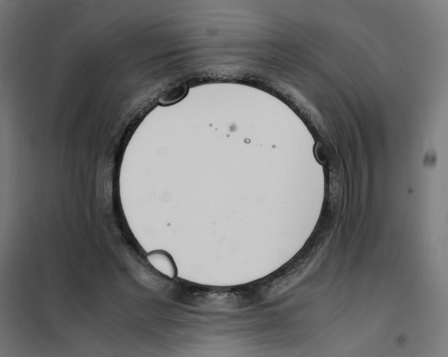 X0000101680493200808071113