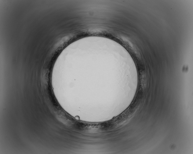 X0000101680495200808071113