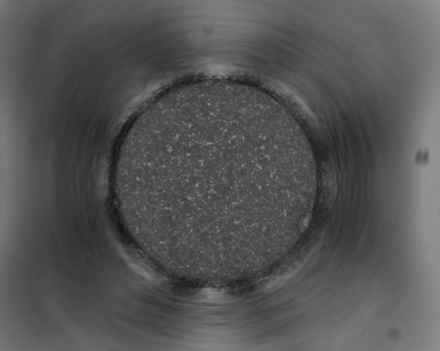 X0000101680496200808071113
