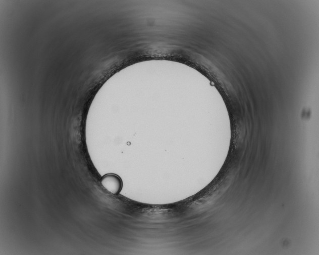 X0000101680497200808071113