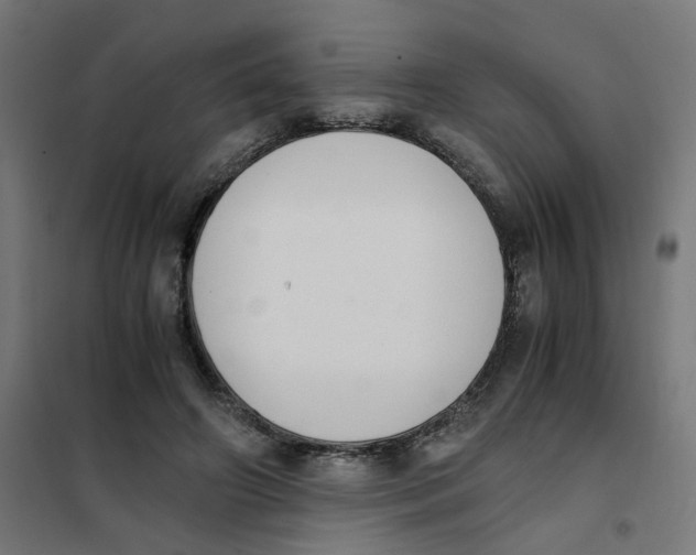 X0000101680498200808071113