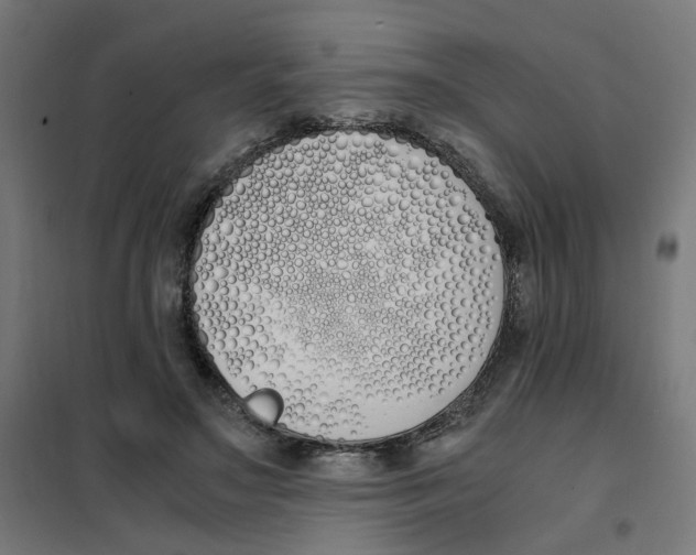 X0000101680499200808071112