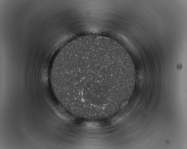 X0000101680500200808071112
