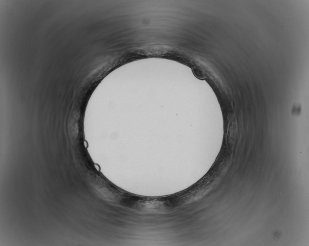 X0000101680501200808071112