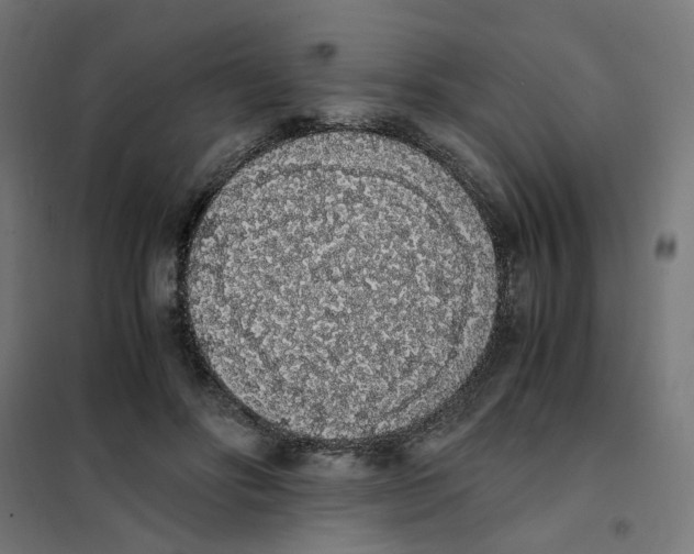 X0000101680502200808071112