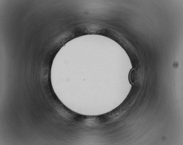 X0000101680505200808071112