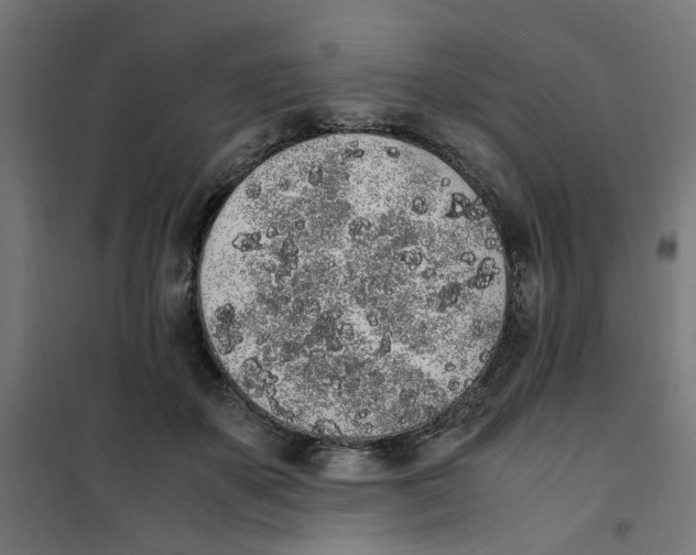 X0000101680507200808071112