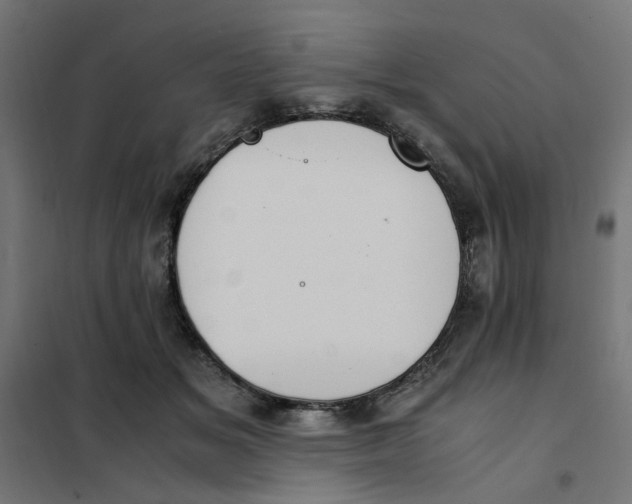 X0000101680509200808071112