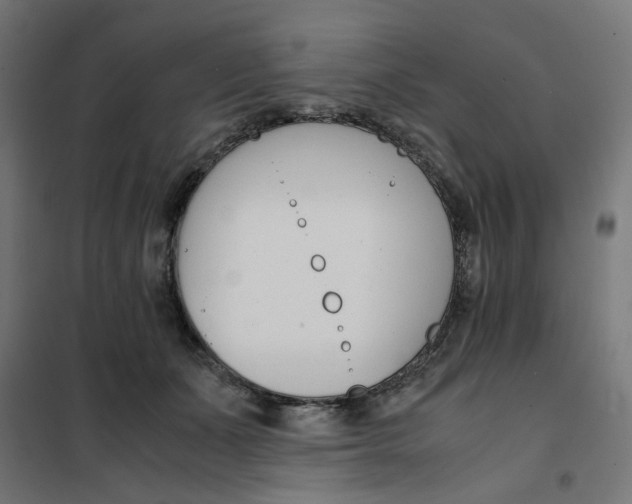 X0000101680511200808071112