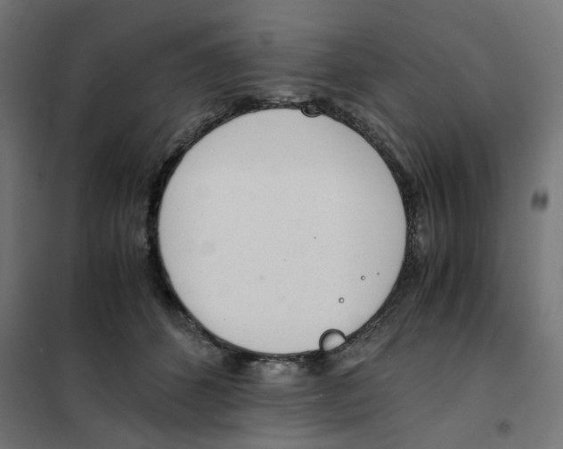 X0000101680512200808071112