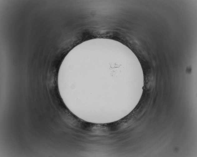 X0000101680515200808071112
