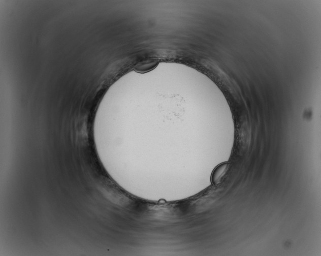 X0000101680516200808071112
