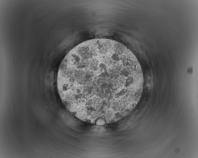 X0000101680519200808071112