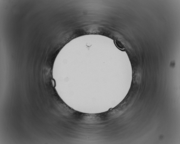 X0000101680521200808071112