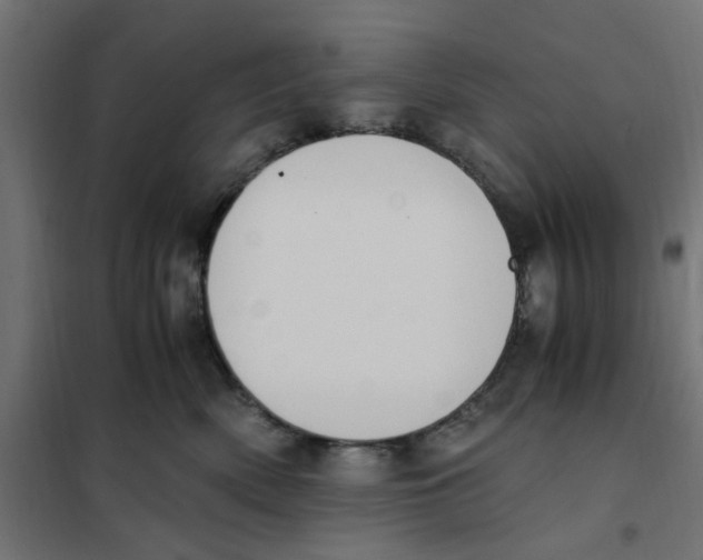 X0000101680522200808071112