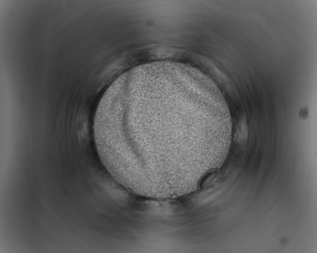 X0000101680524200808071112