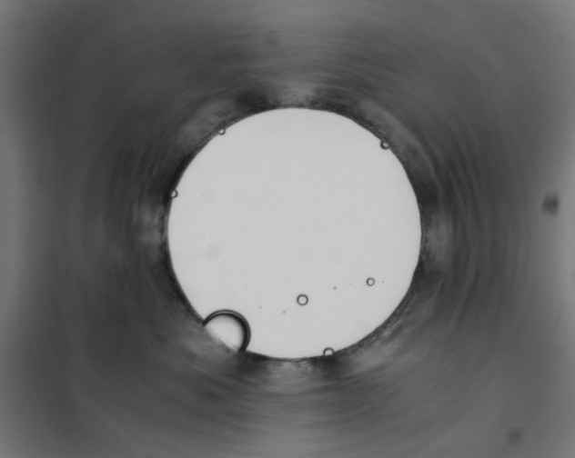 X0000101680525200808071112