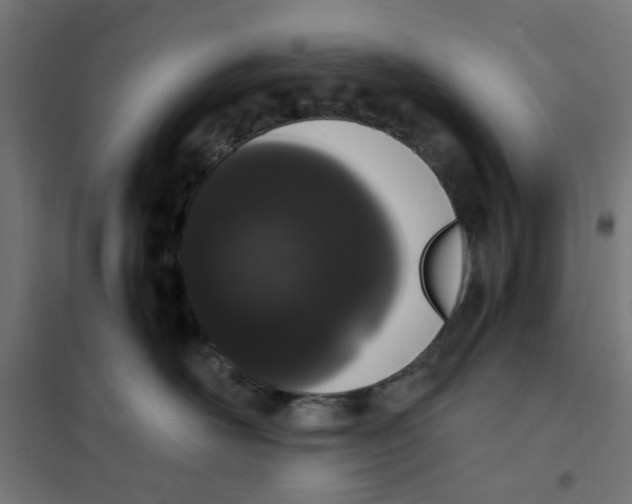 X0000101680526200808071112