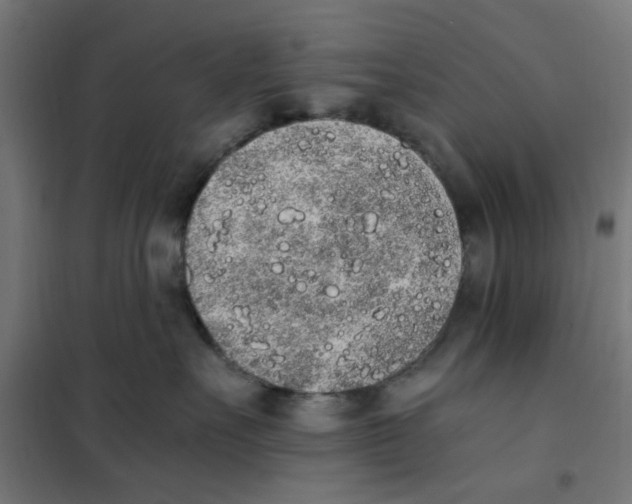 X0000101680527200808071112