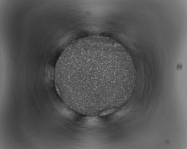 X0000101680528200808071112