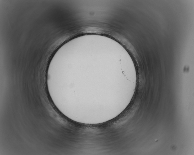 X0000101680529200808071111