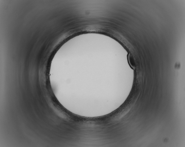 X0000101680530200808071111