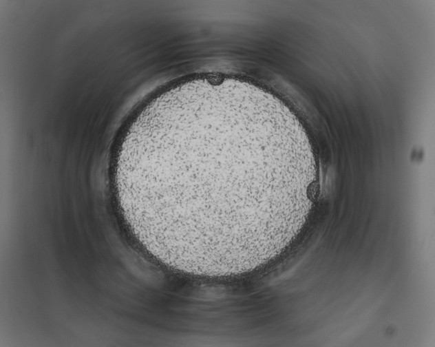 X0000101680531200808071111