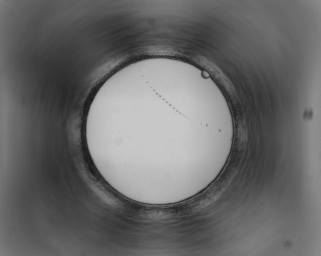 X0000101680533200808071111