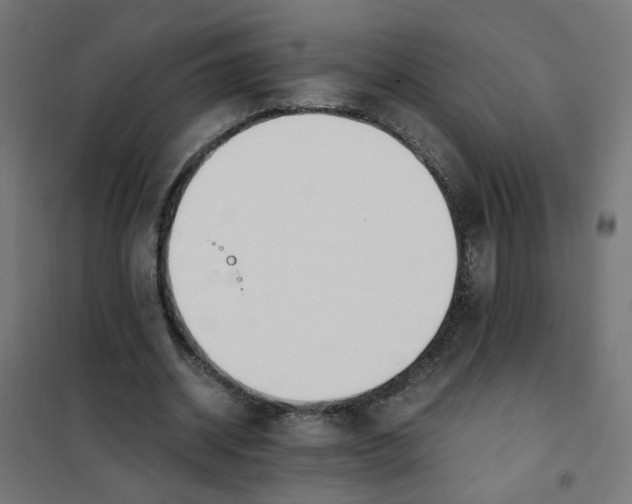 X0000101680534200808071111